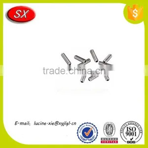 OEM Customized High Quality Stainless Steel Galvanized Double Ended Screw thumbnail-1
