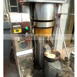 Hot Sale 6Y-320 Hydraulic Sesame Peanut Walnut Oil Pressers thumbnail-1