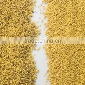 Opto Electronic Grain Color Sorter Machine Grain Processing Machine thumbnail-2