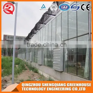 China Multi-span Glass Greenhouse Hydroponic Systems for Agriculture thumbnail-4