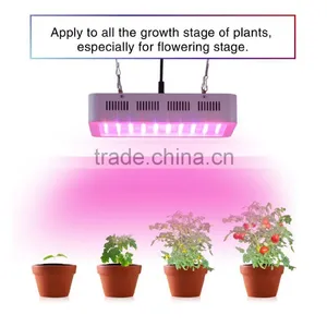600w Double Chips LED Grow Light Full Specturm for Greenhouse and Indoor Plant Flowering Growing (5w Leds) thumbnail-2