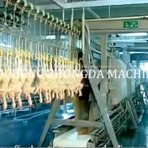 Good Price Chicken Slaughter Machine Line Abattoir Equipment thumbnail-1