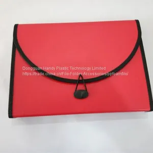 2017 New Design Modern Hot Selling A4 PP Foam Expanding File thumbnail-2