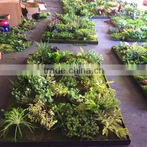 Home Garden Wedding Decoration 200cm*100cm Green Original Succulent With Moss Carpet Grass Wall E03 0506 thumbnail-4