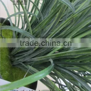 Artificial Wild Grass for Sale in China Factory Price thumbnail-6
