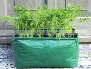Carrot Patio Planters thumbnail-1