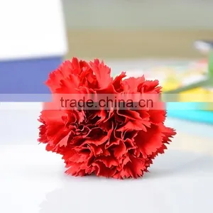 Fresh Valentine Red Carnations With Low Price Fresh Cut Carnation Flower High Quality thumbnail-1