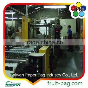 Mango Fruit Grow Bag Mango Fruit Grape Covering Paper Bag thumbnail-5