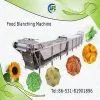 Continues Blanching Machine thumbnail-1