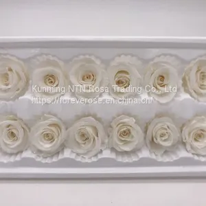 Wholesale3-4cm Elegant Real Touch Preserved Rose Flower thumbnail-5