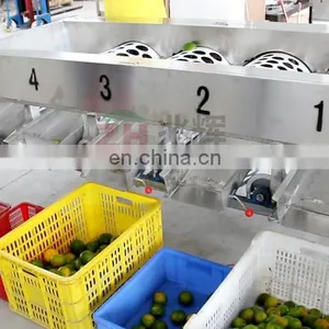 High Effective Blueberry Fruit Selecting Machine Blueberry Fruit Grading Machine thumbnail-7