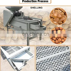 Automatic Nut Crushing Machine Hazelnut Breaking Almond Cracker Machine thumbnail-3