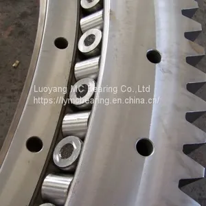 Cross Roller Slewing Bearing thumbnail-1