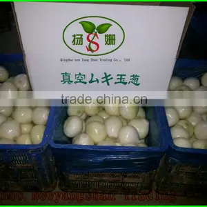 (HOT) 2015 Cabbage Wholesaler/cabbage Prices thumbnail-5
