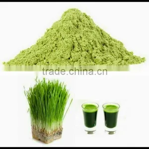 Wheat Grass Powder For Sales thumbnail-3