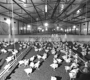 Steel Structure Workshop, Steel Structure Poultry House and Poultry Farming Workshop thumbnail-1