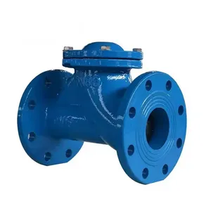 Manufacturer DIN F1 Ductile Cast Iron Flanged Floating Ball Check Valve Non Return Valve thumbnail-1
