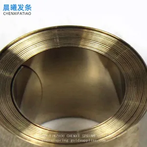 Stainless Steel Constant Force Spring Stainless Steel Spring thumbnail-3