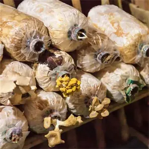 Mushroom Spawn Bags Filter Patch Bag for Mushroom Cultivation Microporous Filter Patch Spawn Incubation Bags thumbnail-4