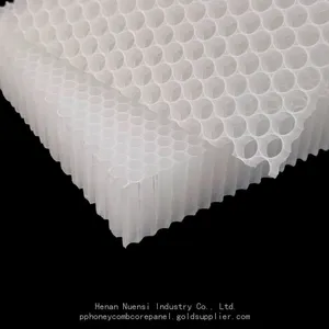 High-strength Plastic Polypropylene pp Honeycomb Core Panel thumbnail-2