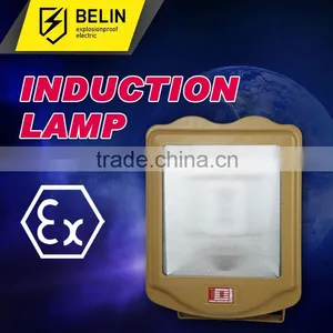Anti Glare Pathway Light thumbnail-1