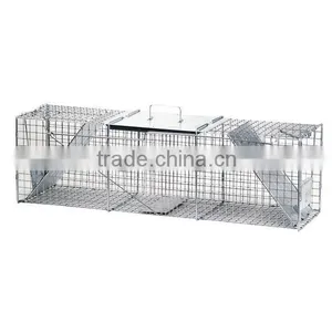 Live Raccoon Trap thumbnail-1