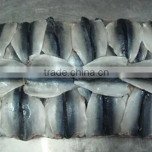 Frozen Block Mackerel Flaps thumbnail-1