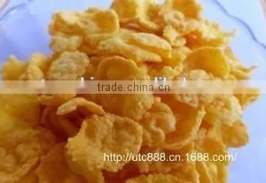 Corn Flakes /tortilla Making Machines thumbnail-2