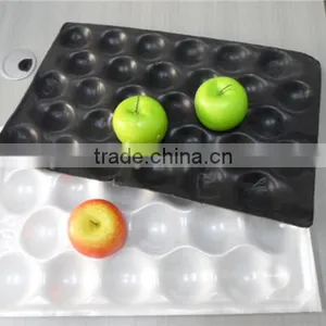 PS Plastic Fruit Tray thumbnail-1