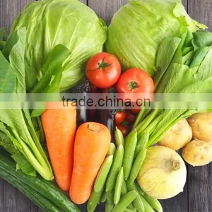 Baby Food Without Additives / Made in Japan Organic Baby Food Vegetable Soup 100g (from 5 Months Old) thumbnail-4