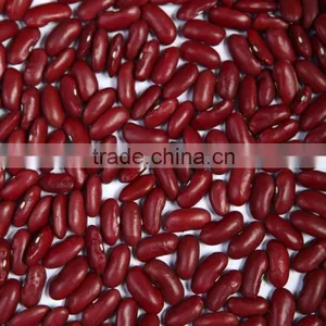We Are Supply Kidney Beans, Dark Red Kidney Beans for Sale thumbnail-2