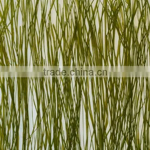 Natural Leaf With Polystyrene Sandwich Panel Acrylic Door Designs thumbnail-3