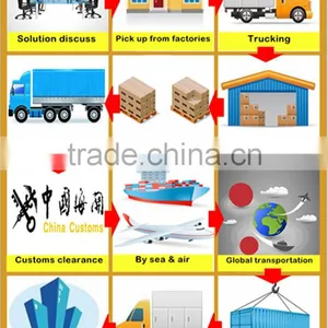 Shenzhen To Miami DDP Container Freight Services thumbnail-4