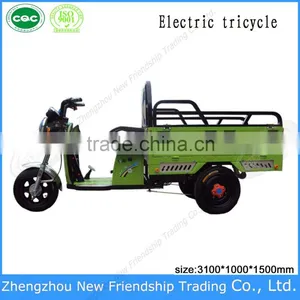 Cargo Delivery Small 3 Wheel Electric Trike Tricycle Rickshaw thumbnail-3
