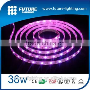 LED Strip 12V 5050 36/m IP65 Waterproof Warm White LED Flexible Strip thumbnail-1