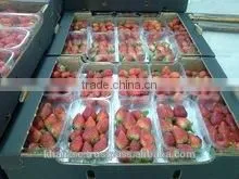 SWEET& FRESH STRAWBERRY thumbnail-3