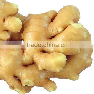 2015 New Fresh and Dried Ginger thumbnail-1