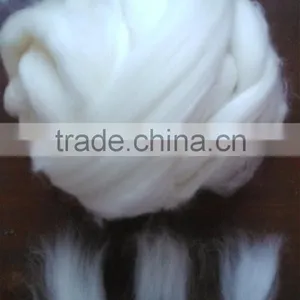 Good Luster Australia Wool Tops for Spinnin 16.5-20.5mic 1.5 -2inch thumbnail-3