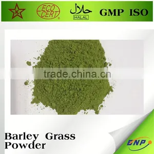 Organic Barley Grass Juice Powder Barley Green Powder thumbnail-2