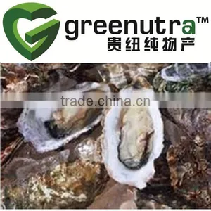 Oyster Extract thumbnail-1