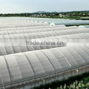 High Performance Pe Film Greenhouse For Strawberry thumbnail-2