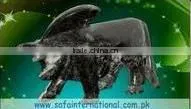 Marble & Onyx Animals MINA_818 thumbnail-1