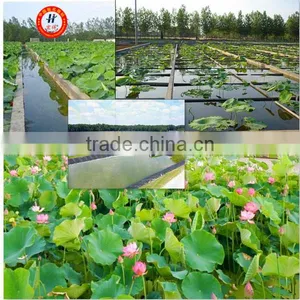 Special Membrane HDPE Liner for Lotus Fish Keeping and Aquaculture Pond Liner thumbnail-1