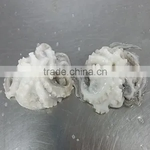 Raw Frozen Flower Shaped Octopus thumbnail-2