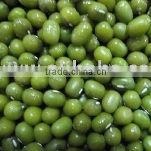Mung Beans thumbnail-1