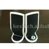 Speaker thumbnail-1