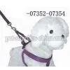 Dog Leash and Dogs Thoracodorsal,cute Dog Leashes(AF7353) thumbnail-1
