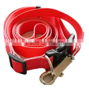 Custom Pet Collars & Leashes thumbnail-1