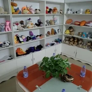Dongguan Hong Sheng Toy Co., Ltd. company overview - view 1 thumbnail