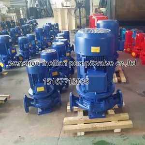 ISG80-125 Circulating Pump thumbnail-2